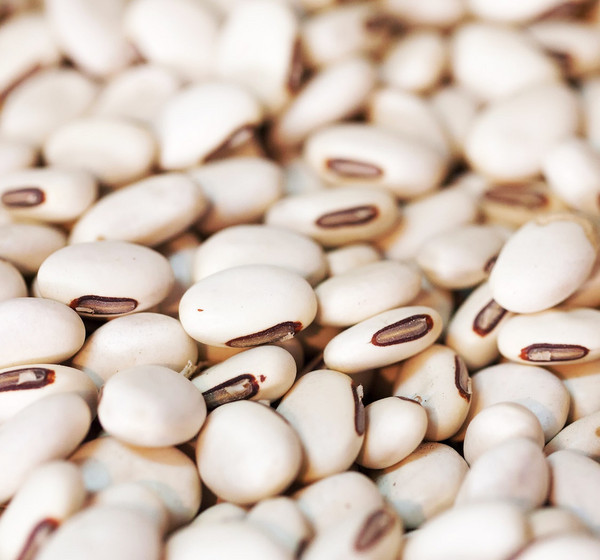 Jack Bean