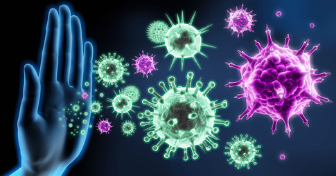 How Chitosan Fights Infections