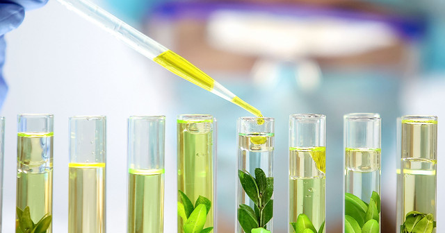 Chitosan in Medical Devices