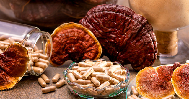 Ganoderma Lucidum