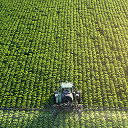 Agriculture