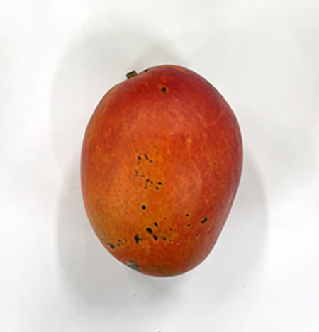 Mango 2