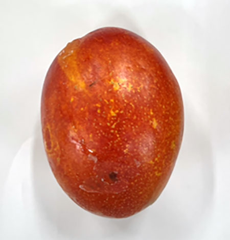 Mango 3