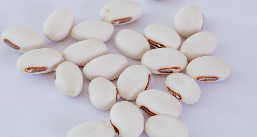 CavaTide® 白鳳豆萃取物